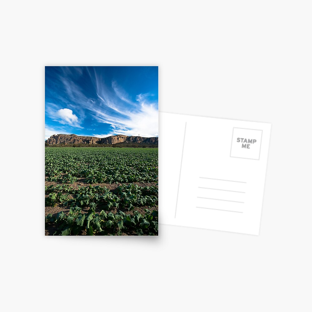 Item preview, Postcard designed and sold by joshw.