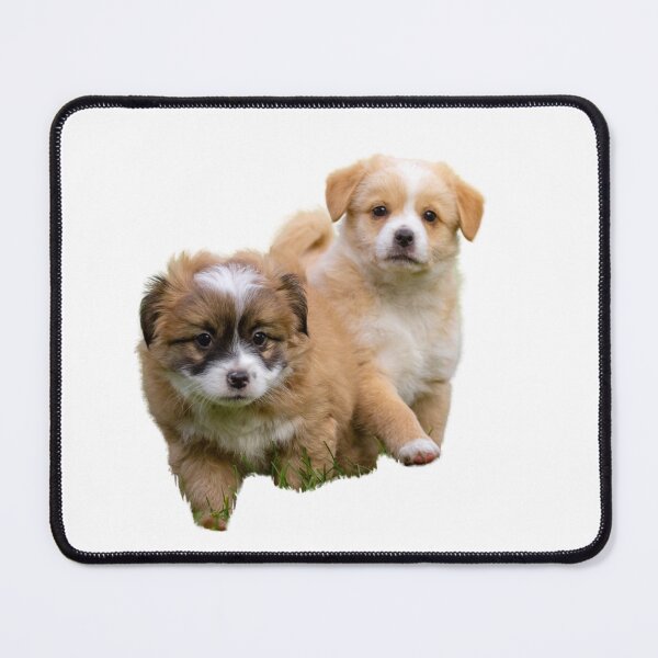 Item preview, pictures of two cute puppies designed and sold by JAG2B.