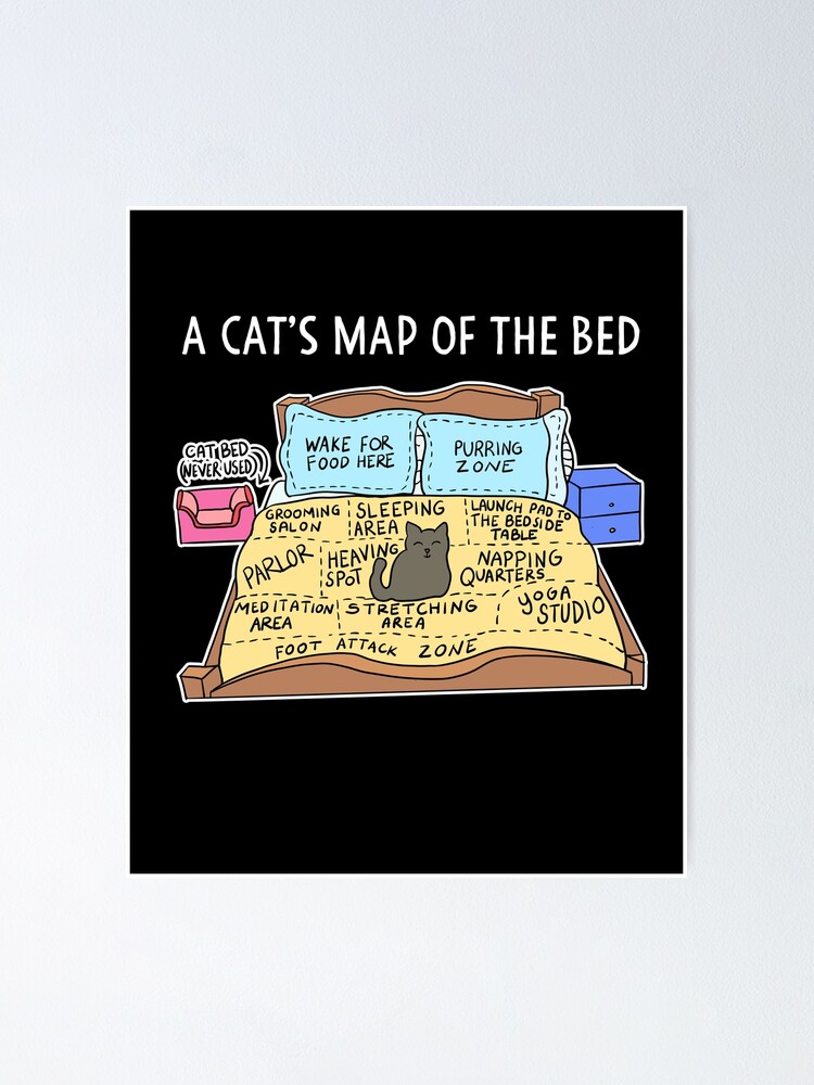 Get your free cats and pandas map!