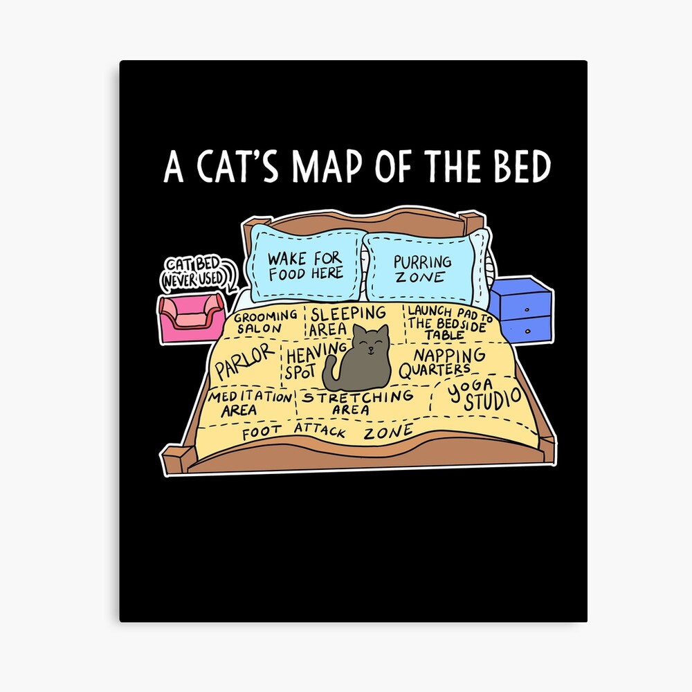 Cats Map Of The Bed Funny Cat Gift For Cat Owner