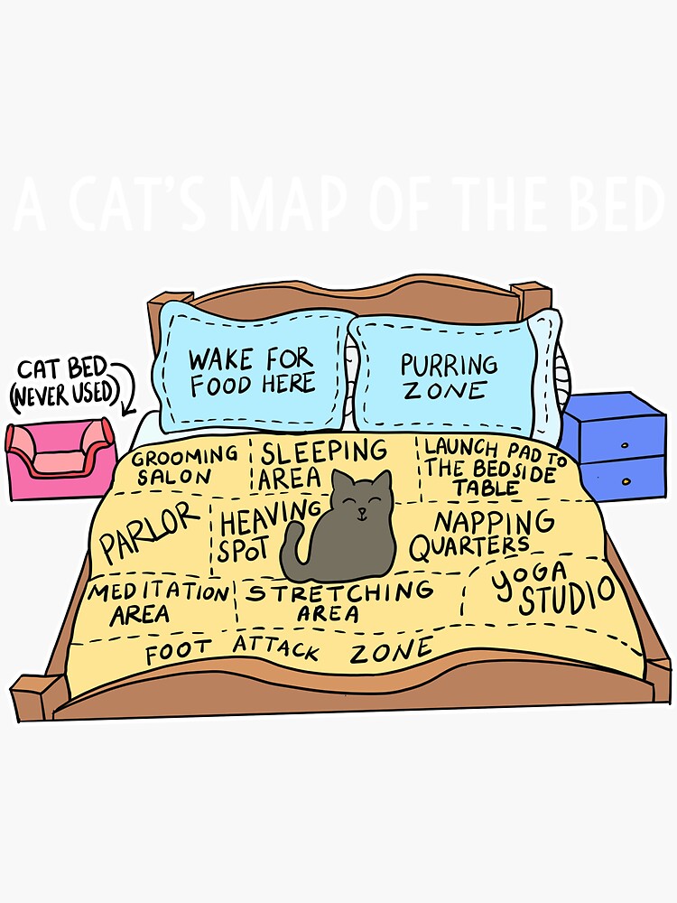 Cats Map Of The Bed Funny Cat Gift For Cat Owner