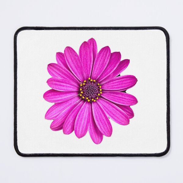 Item preview, Summer flower designed and sold by mary02.