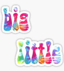 big little tiedye words Sticker