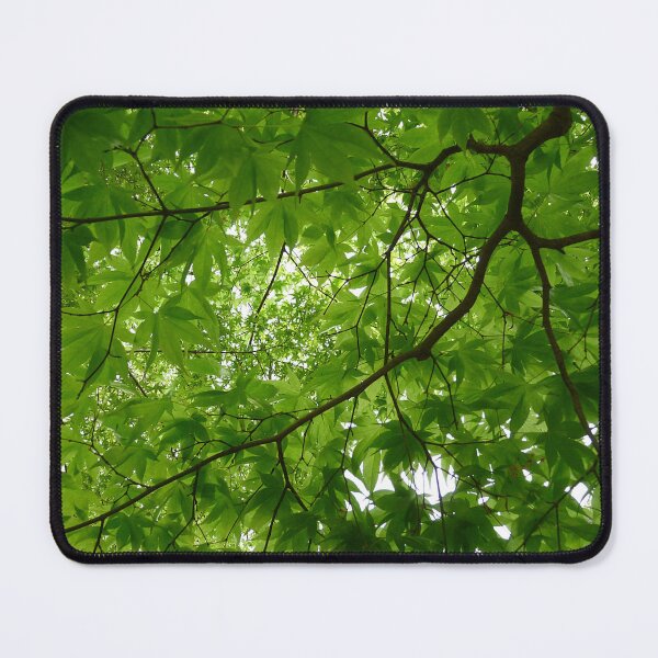 Item preview, Tree Canopy designed and sold by Birgit Moldenhauer.