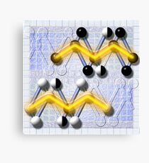 096 Canvas Print