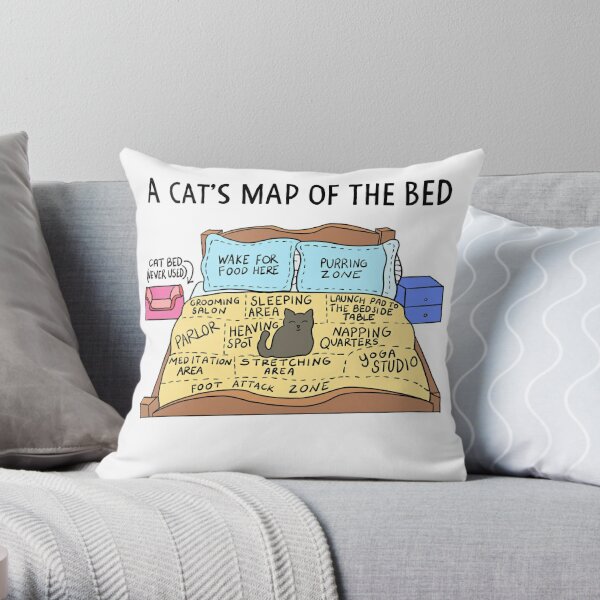 Cat Pillow. Quirky Cushion Covers. Smiley Face Pillow, Psychology Decor, Couch  Pillows, Funny Cat Gifts, Book Nook Kit, Art Pillow 