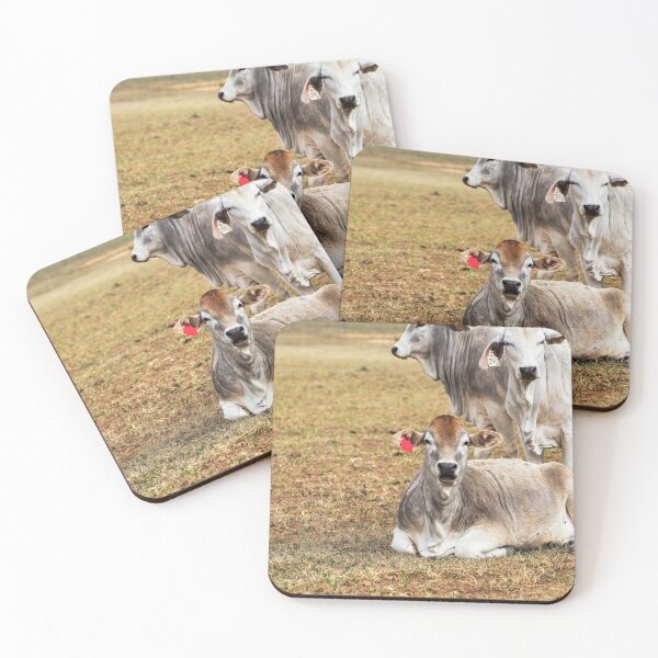 Item preview, cows in a field looking surprised designed and sold by noblephoto.