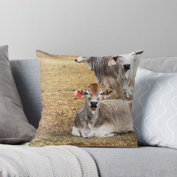Item preview, cows in a field looking surprised designed and sold by noblephoto.