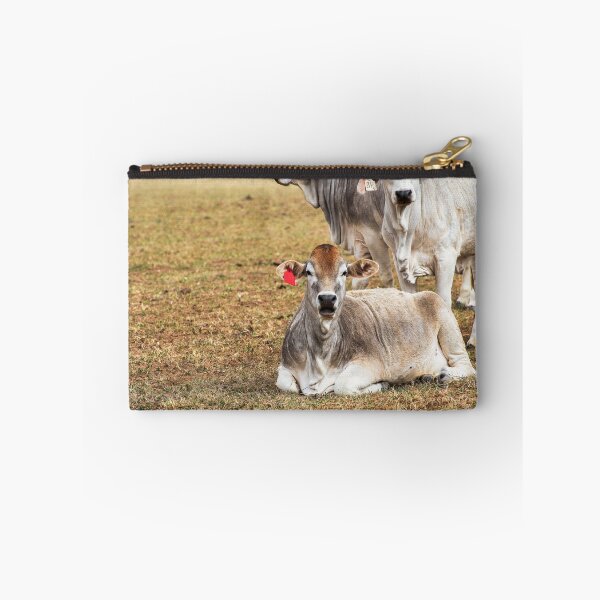 Item preview, cows in a field looking surprised designed and sold by noblephoto.