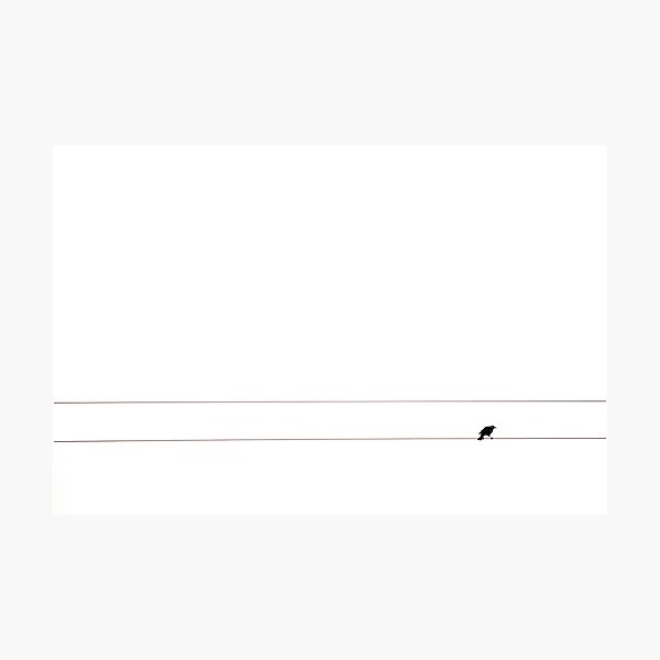 Parallels Photographic Print