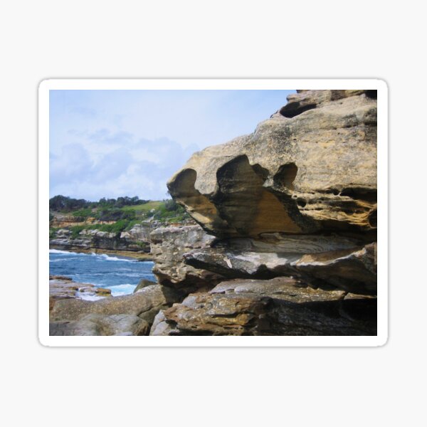 Clamshell Limestone on Bondi Beach Sticker