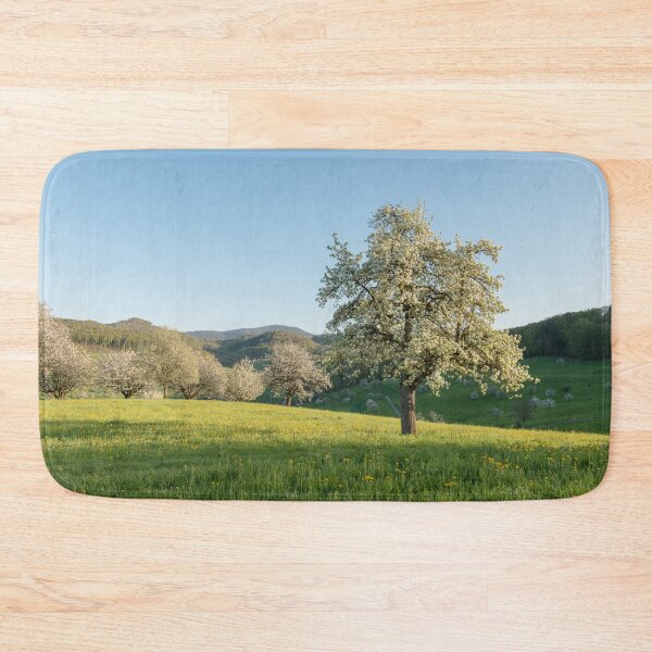 Item preview, Spring landscape with blooming cherry tree in the evening sun designed and sold by StohlerPhotos.