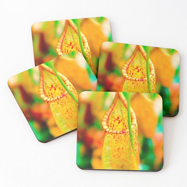 Item preview, Vibrant tropical pitcher plant designed and sold by yourartylife.