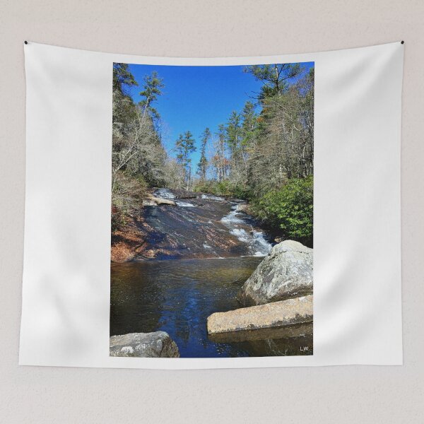 Item preview, Sliding Rock Dupont State Forest North Carolina Vertical designed and sold by LisaWootenPhoto.