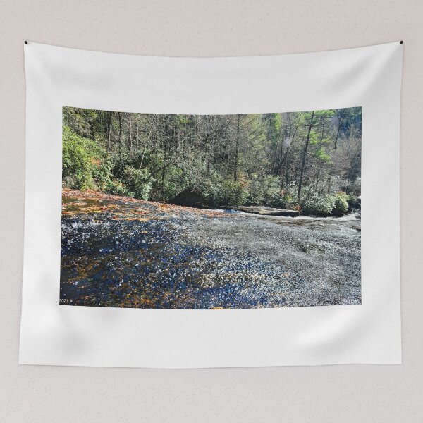 Item preview, Heading Down Sliding Rock Dupont State Forest designed and sold by LisaWootenPhoto.