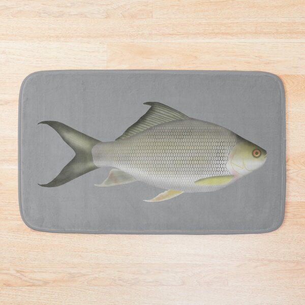 Item preview, Osteochilus melanopleura designed and sold by fishfolkart.