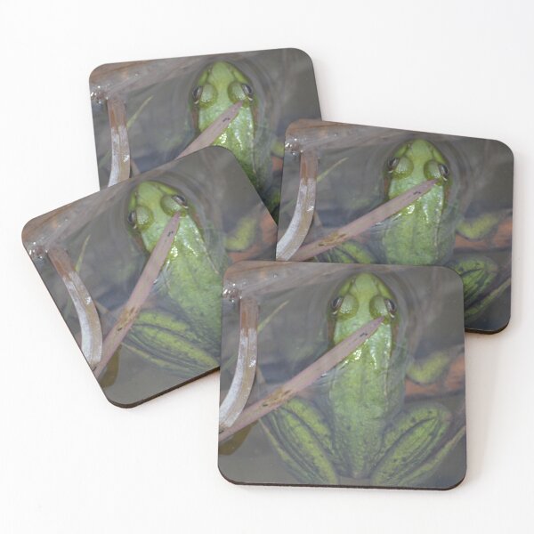 Item preview, Frog from above designed and sold by enchantedvibes.