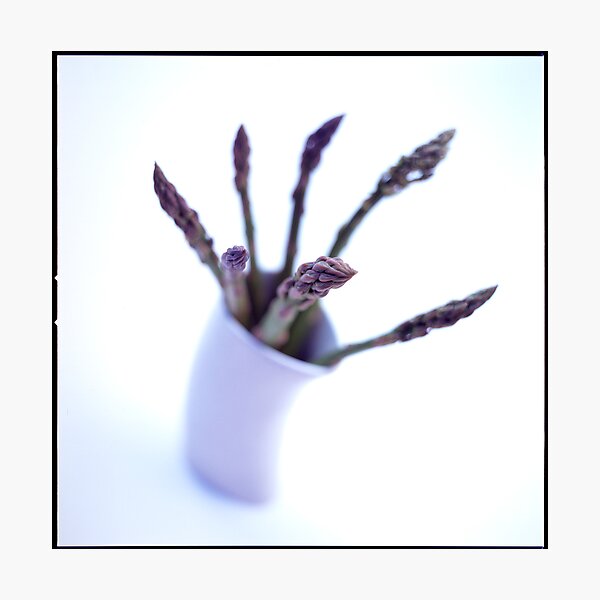Item preview, Sparrowgrass designed and sold by Teresa Gaudio.