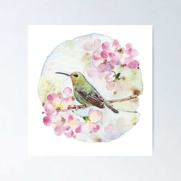 Watercolor | Hummingbird and PinkRose Poster