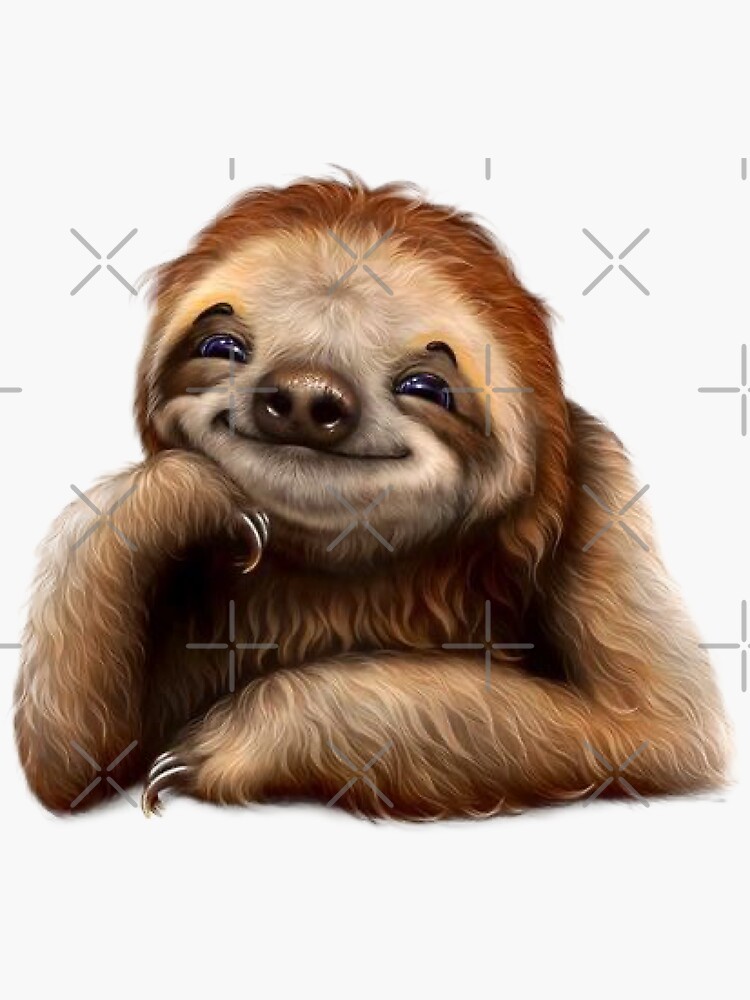 Slothy (@slotha) / X