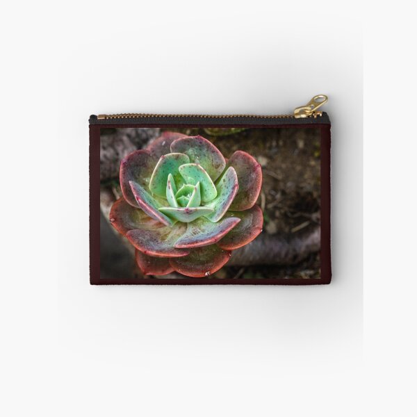 Item preview, Succulent plant designed and sold by Eduardo Tavares.