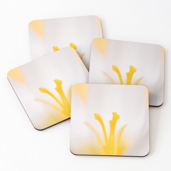 Item preview, Closeup of a white crocus blossom designed and sold by Stefan Rotter.