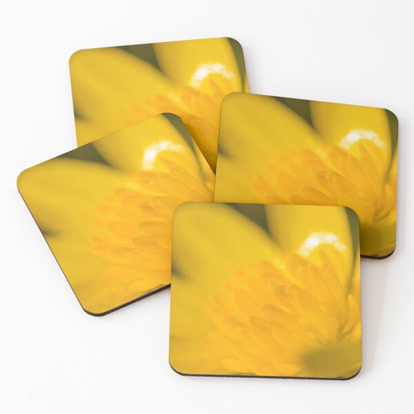 Item preview, Closeup of a lesser celandine blossom designed and sold by Stefan Rotter.
