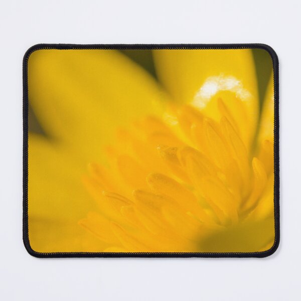 Item preview, Closeup of a lesser celandine blossom designed and sold by Stefan Rotter.
