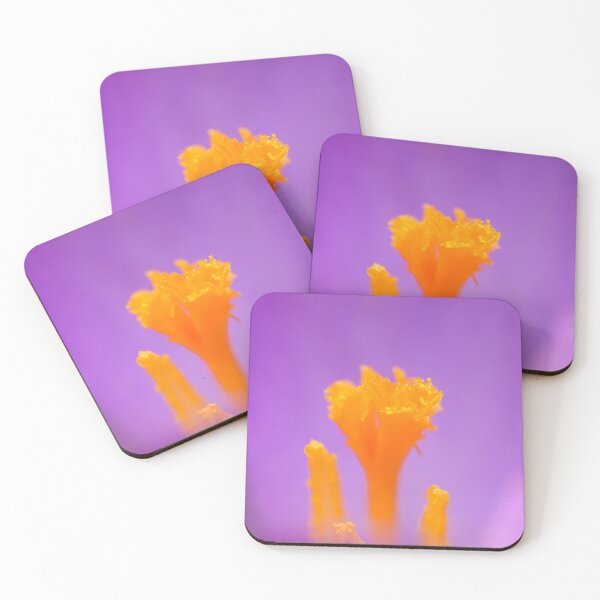 Item preview, Closeup of a purple crocus blossom designed and sold by Stefan Rotter.