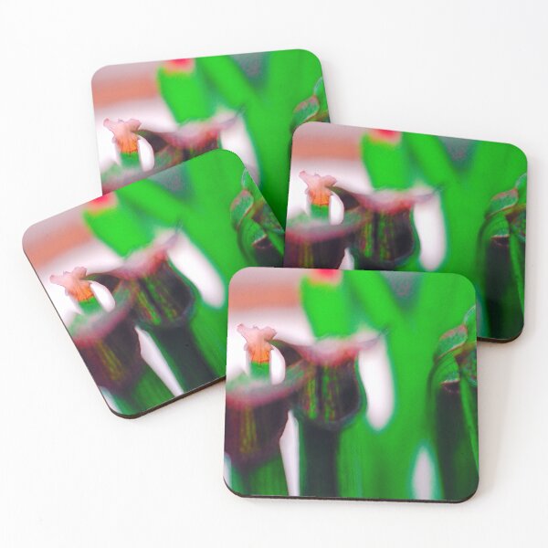 Item preview, Tropical abstract pitcher plants  designed and sold by yourartylife.