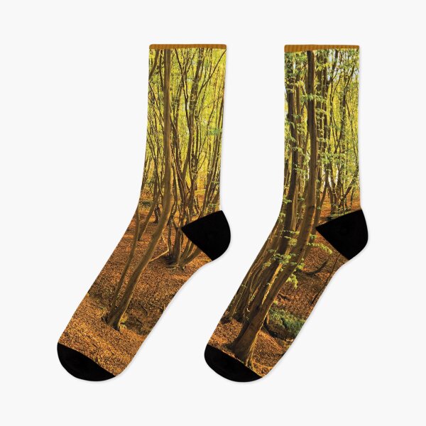 Item preview, 'The Dell' - Donyland Woods in September designed and sold by sleepingdogprod.