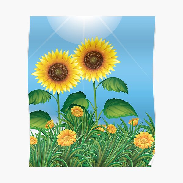 aesthetic-sunflower-field-sunflower-field-captions-poster-for-sale