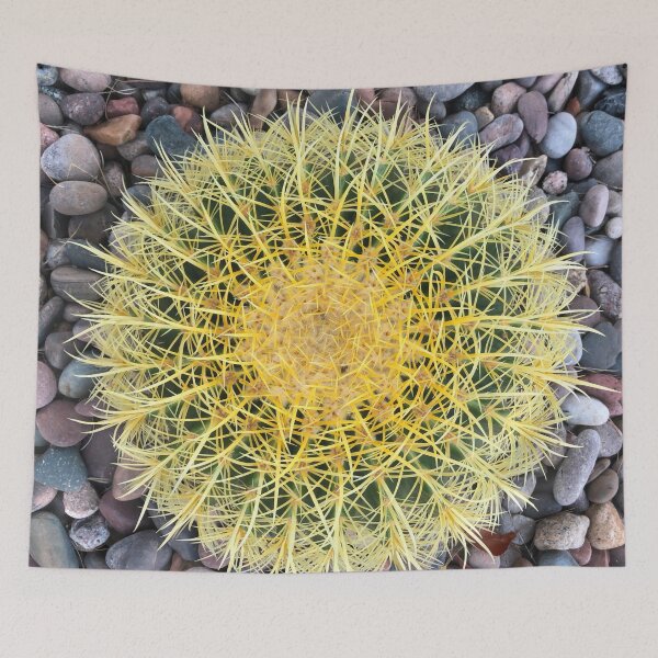 Item preview, Pretty prickly barrel cactus Arizona designed and sold by Travelways.