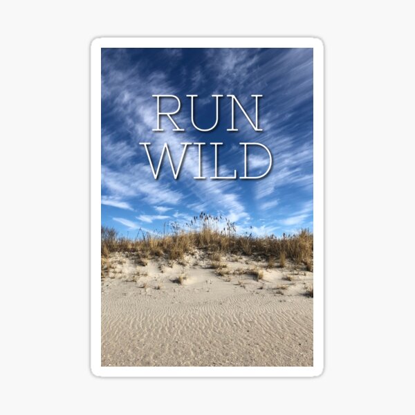 Run Wild | Beach and Sky Sticker