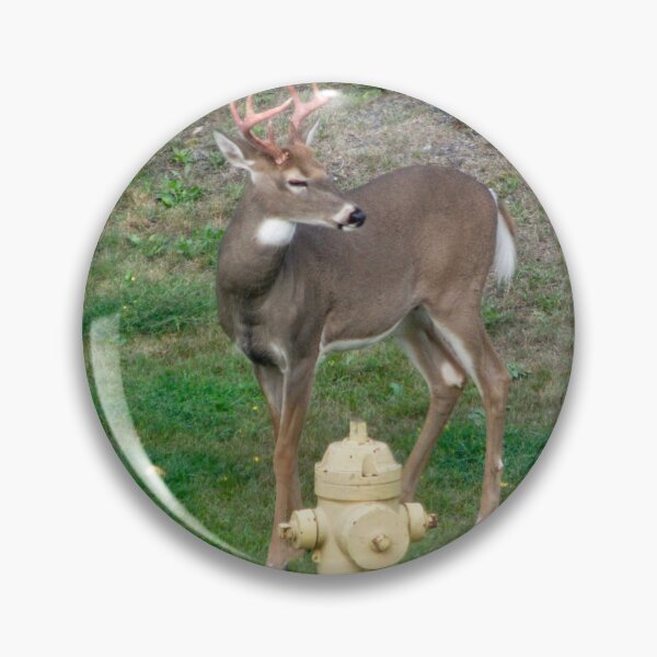Item preview, Wonder if only dogs can use this? designed and sold by Shulie1.