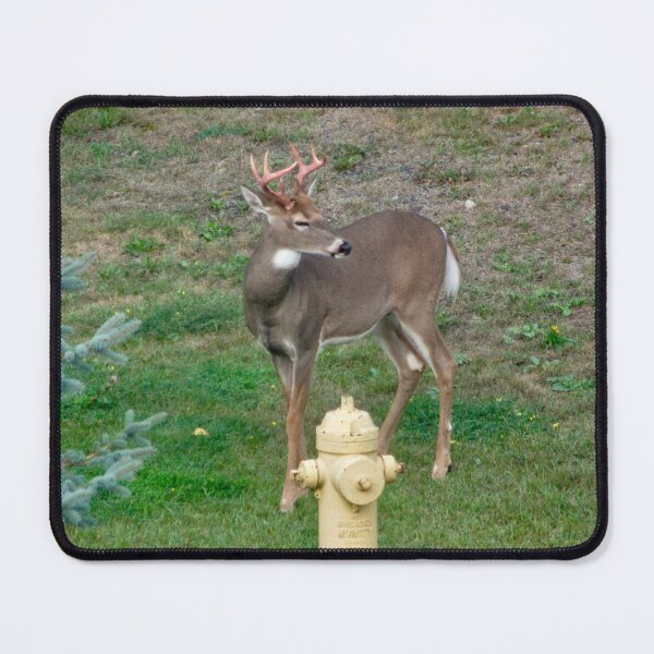 Item preview, Wonder if only dogs can use this? designed and sold by Shulie1.