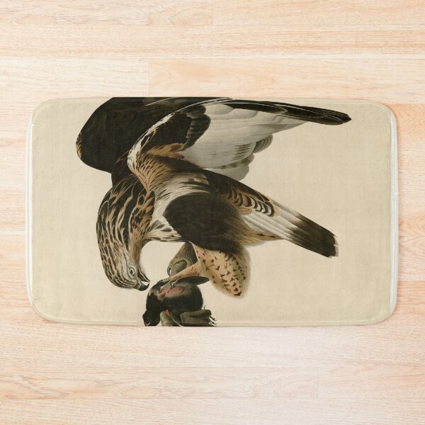 Item preview, 166 Rough legged Falcon designed and sold by Bird-Lore.