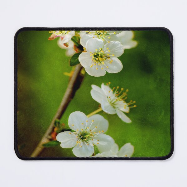 Item preview, flower designed and sold by laikaincosmos.