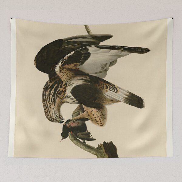 Item preview, 166 Rough legged Falcon designed and sold by Bird-Lore.