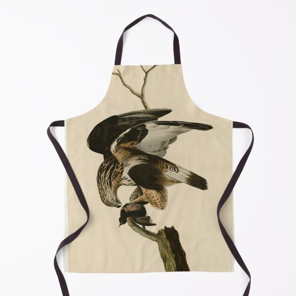 Item preview, 166 Rough legged Falcon designed and sold by Bird-Lore.