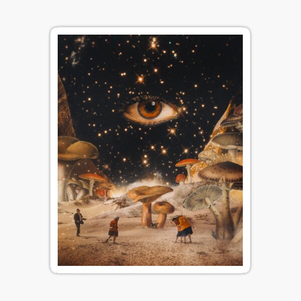 Lost in Fungi desert Sticker