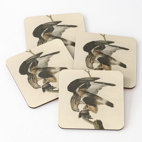 Item preview, 166 Rough legged Falcon designed and sold by Bird-Lore.
