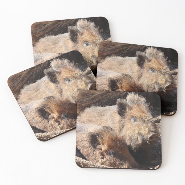 Item preview, Wild Boar Juvenile, Animal Portrait designed and sold by Imladris01.
