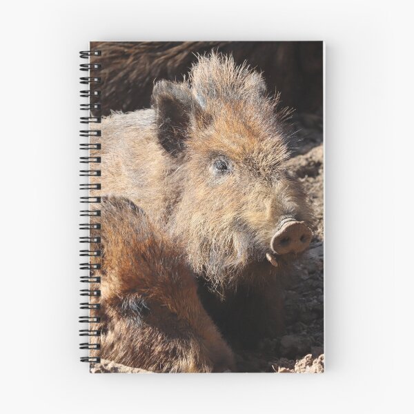 Item preview, Wild Boar Juvenile, Animal Portrait designed and sold by Imladris01.