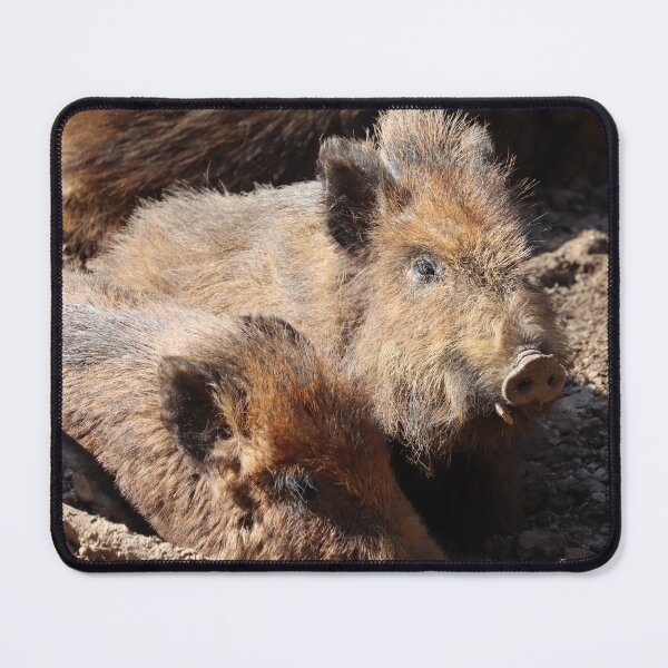 Item preview, Wild Boar Juvenile, Animal Portrait designed and sold by Imladris01.