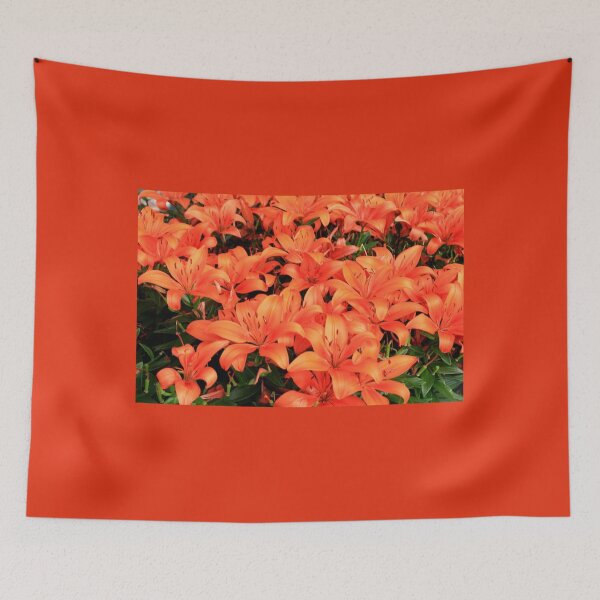 Item preview, Orange liliums in bloom designed and sold by FranWest.