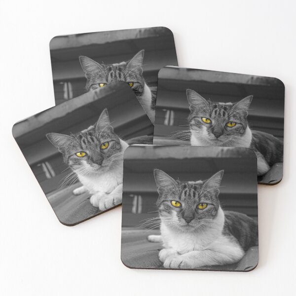 Item preview, the cat designed and sold by ricobarinas.