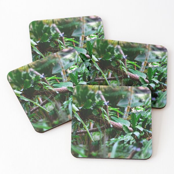 Item preview, Lost in the jungle designed and sold by yourartylife.
