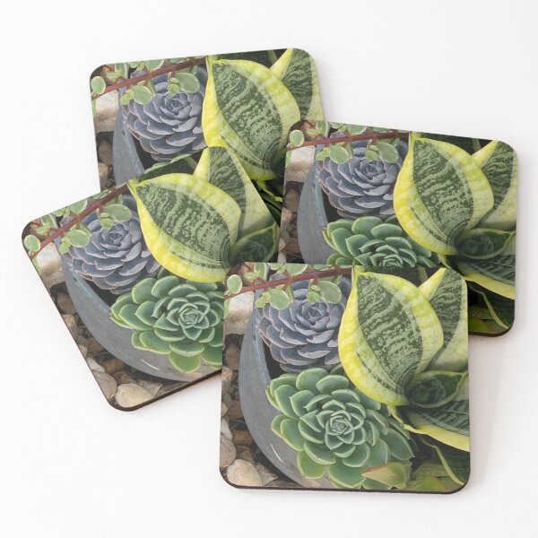 Item preview, Succulent Beauties designed and sold by MarcyBrennanArt.
