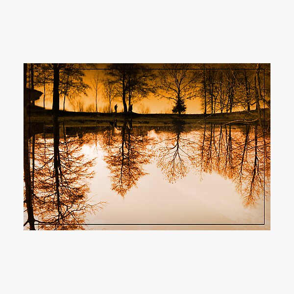 Dream of the trees Photographic Print